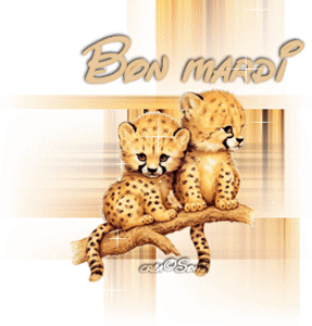 Gif animé Bon mardi léopard